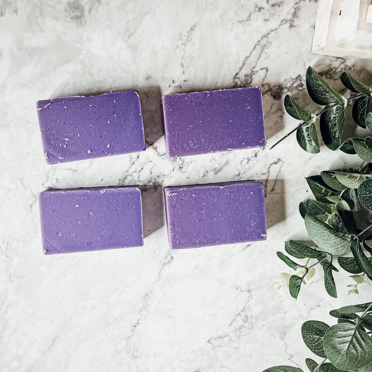 Fall Soaps & Skincare - Pumpkin, Cinnamon, Apple & More!: Black Storm