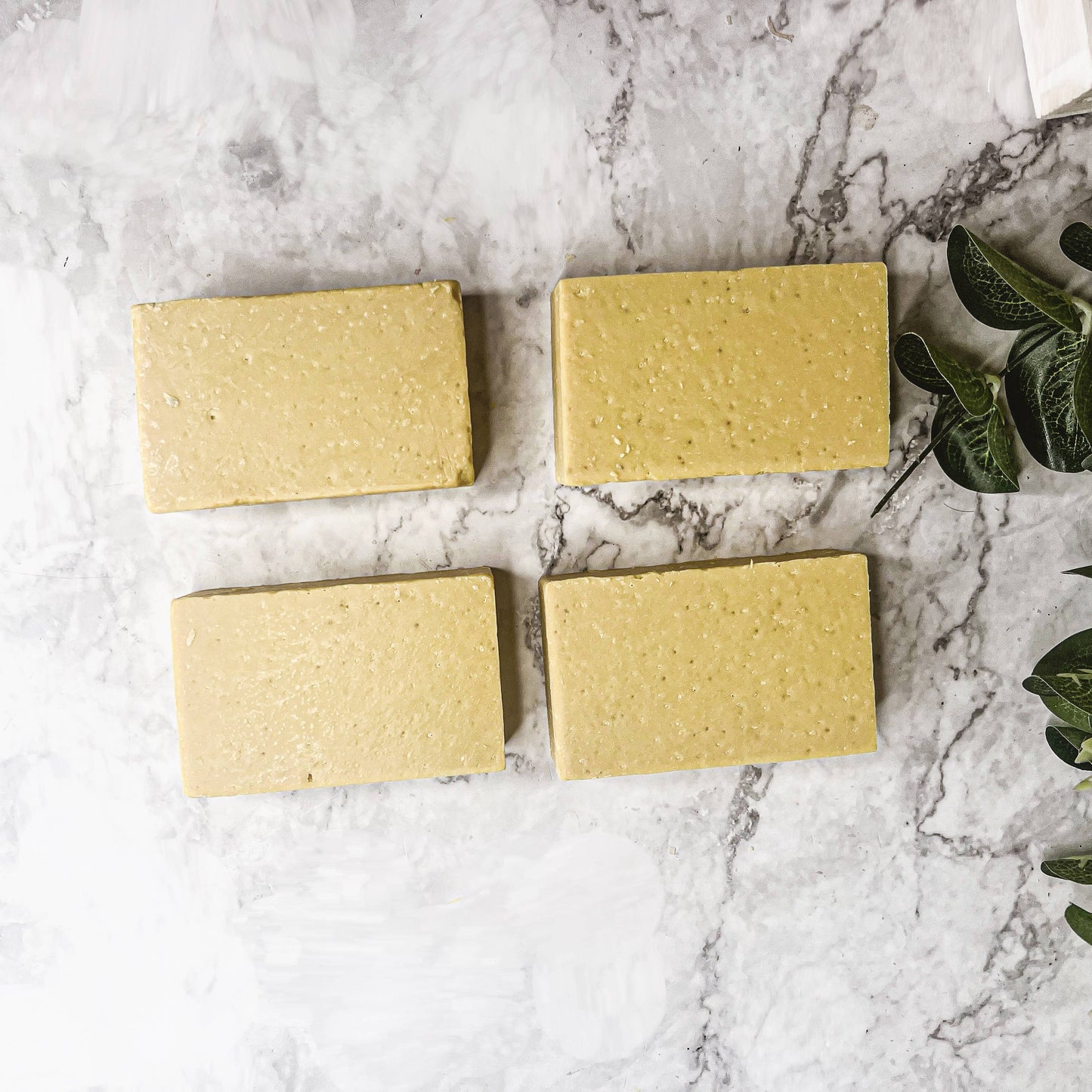 Fall Soaps & Skincare - Pumpkin, Cinnamon, Apple & More!: Black Storm