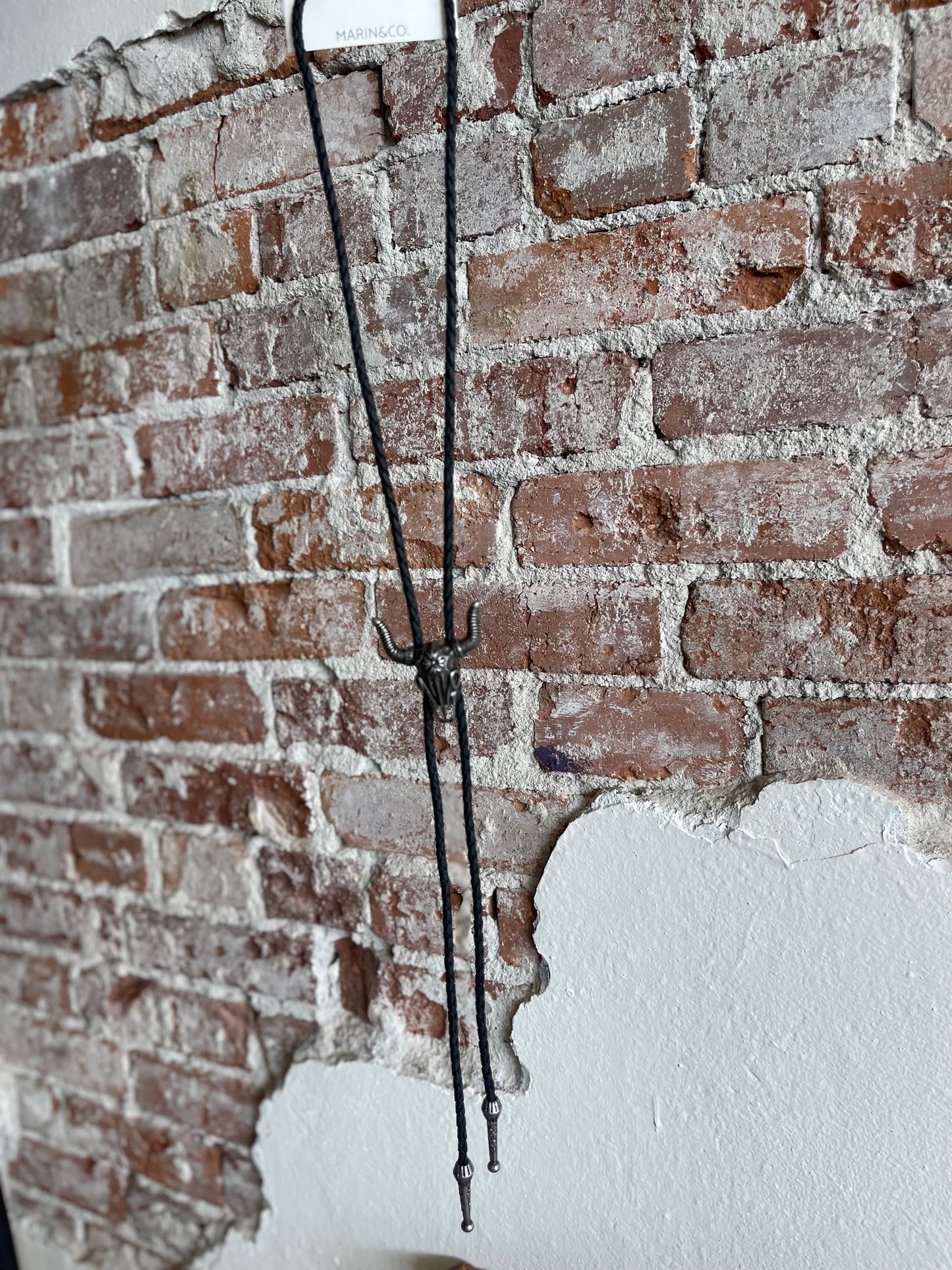 Skull & Braided Band Necklace