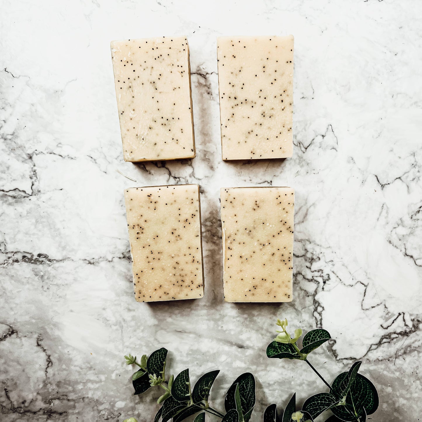 Fall Soaps & Skincare - Pumpkin, Cinnamon, Apple & More!: Black Storm
